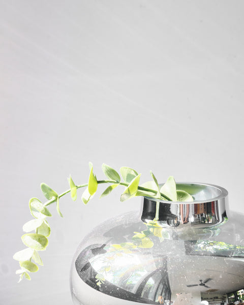 Dolly P Curvy Vase
