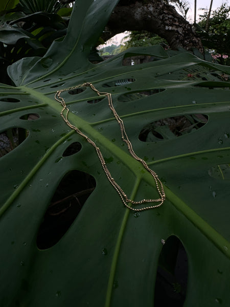 Chain Collection - Endel Double Layer Necklace