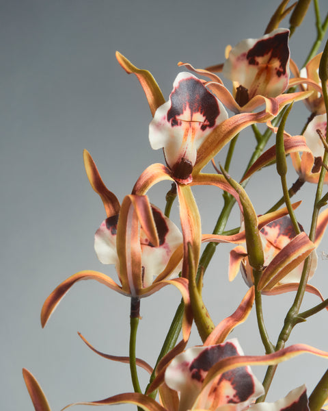 Artificial Flower - Rodriguezia Orchid
