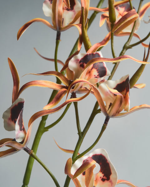 Artificial Flower - Rodriguezia Orchid