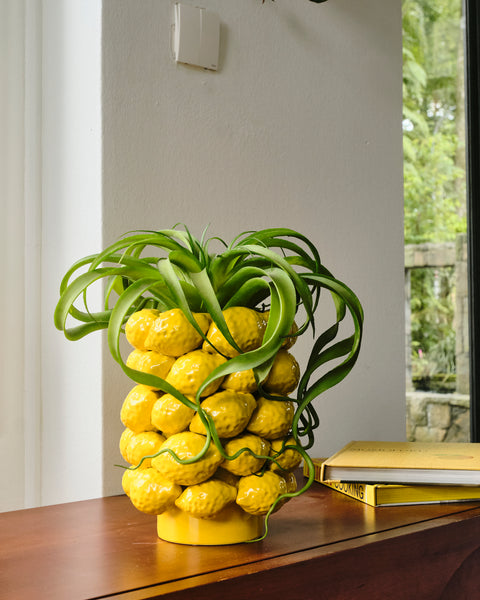 Capri Fruit Vases