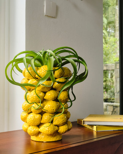 Capri Fruit Vases
