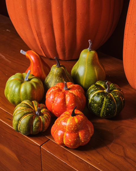 Autumn Collection - Mini Pumpkin Decor