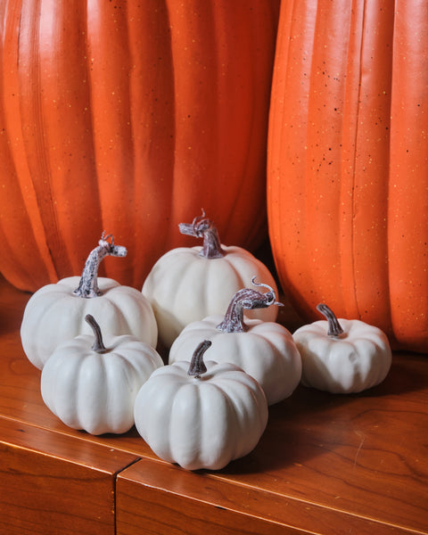 Autumn Collection - Mini Pumpkin Decor