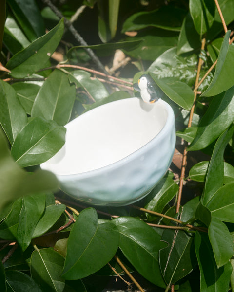 Pado Penguin Bowl