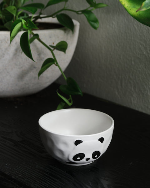 Puku Panda Rice Bowl