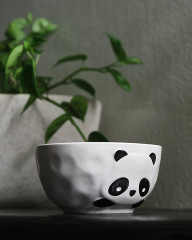 Puku Panda Rice Bowl