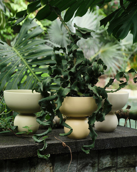 Sophie Bowl Shaped Vase