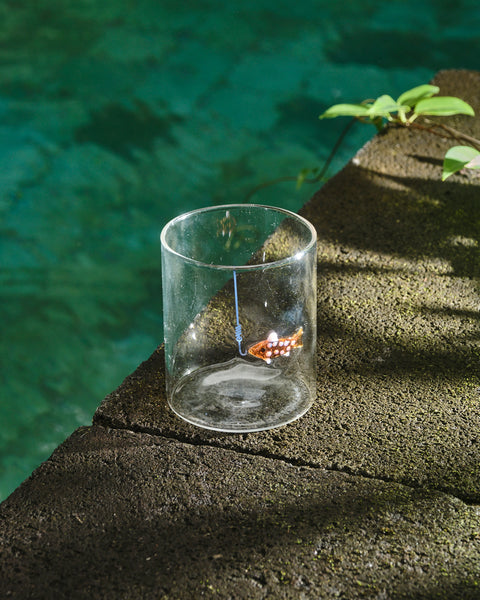 Swimming Fish Cup