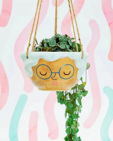 Sass & Belle: Rose Hanging Planter