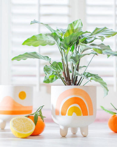 Sass & Belle: Rainbow Planter