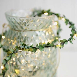 Olive Fairy String Lights