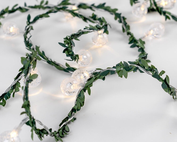 Olive Fairy String Lights with Clear Bulbs