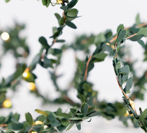 Olive Fairy String Lights