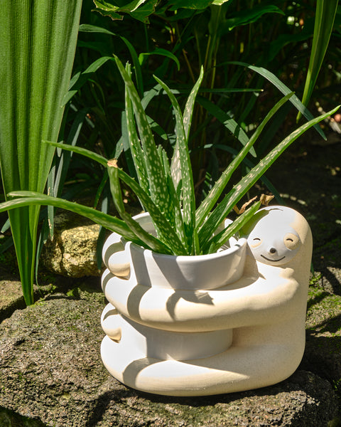 Hugging Sloth Planter Pot