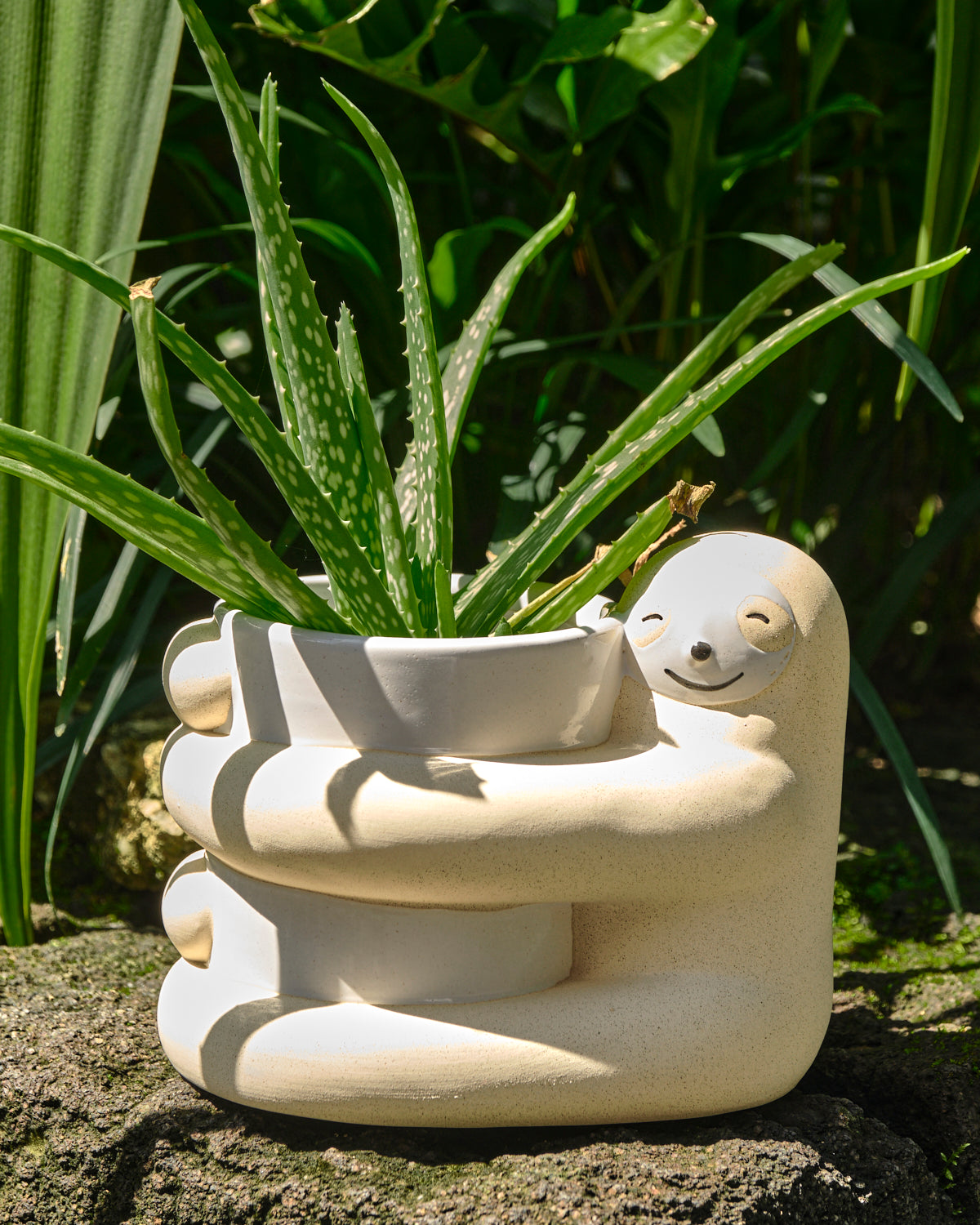 Hugging Sloth Planter Pot