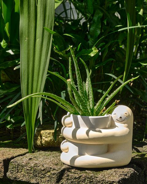 Hugging Sloth Planter Pot