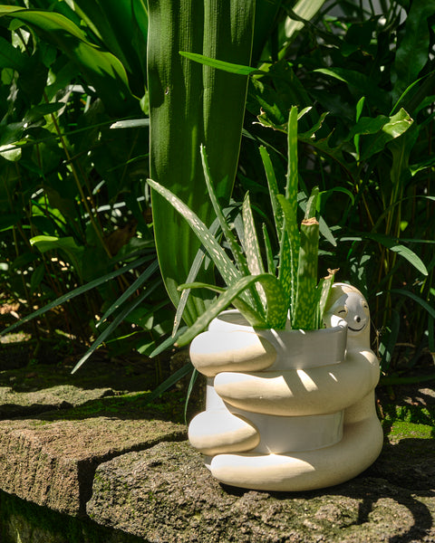 Hugging Sloth Planter Pot