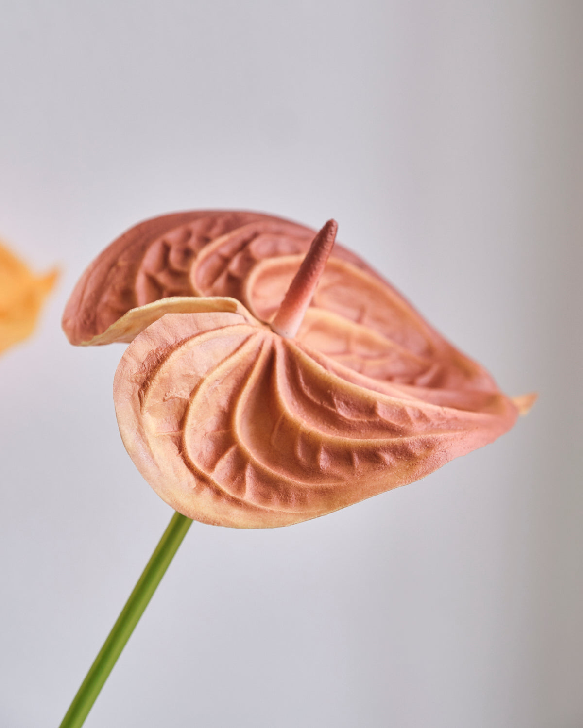 Artificial Flower - Anthurium