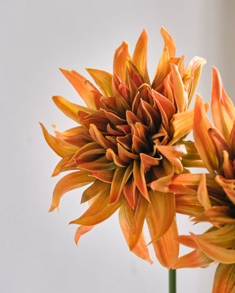 Artificial Flower - Dahlia