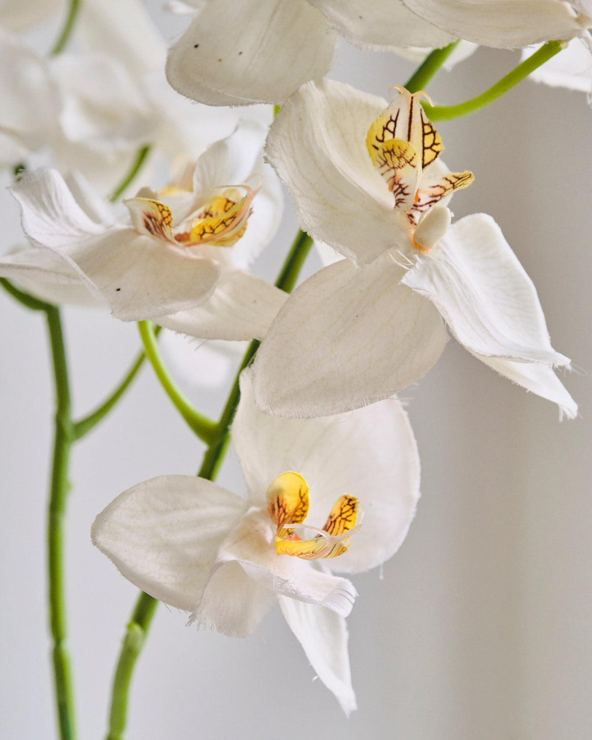 Artificial Flower - Orchid