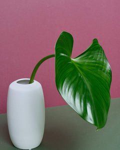 Bianca White Textured Striped Vase - Medium Curved Cylindrical