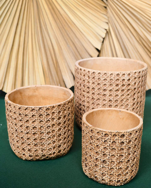 Panama Rattan Printed Clay Plant Pots