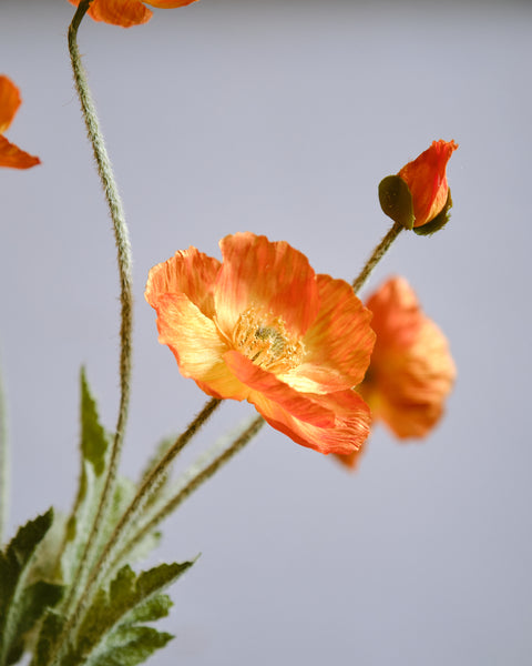 Artificial Flower - Flanders Poppy (Short)