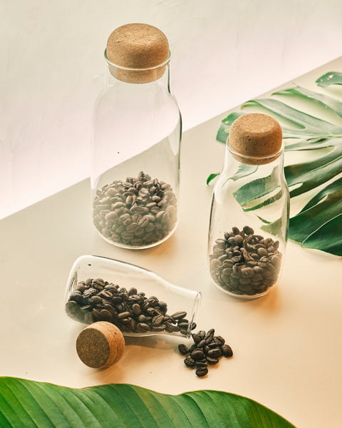 Glass Bottle with Cork Cover - Small
