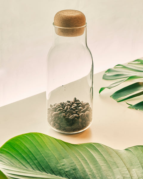 Glass Bottle with Cork Cover - Large