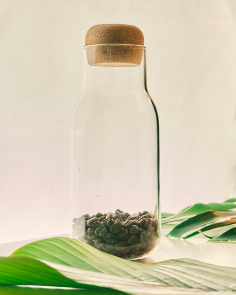 Glass Bottle with Cork Cover - Large