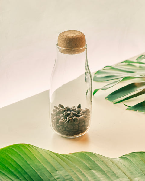 Glass Bottle with Cork Cover - Medium