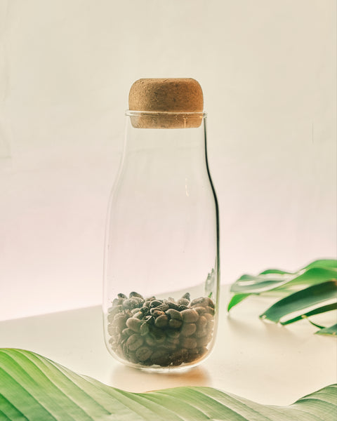 Glass Bottle with Cork Cover - Medium