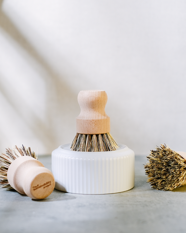 Hand Brush