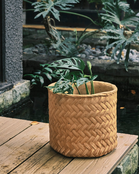 Herringbone Weave Rattan Printed Clay Plant Pot - Large