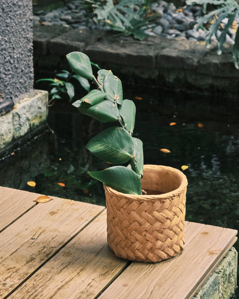 Herringbone Weave Rattan Printed Clay Plant Pot - Small