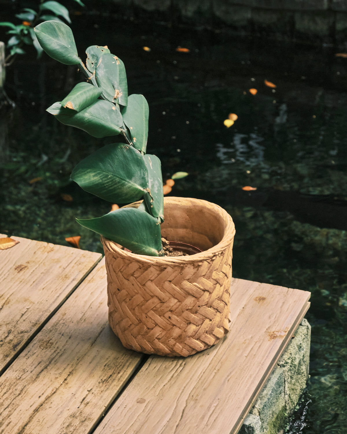 small rattan plant pot Herringbone Weave Rattan Printed Clay Plant Pot