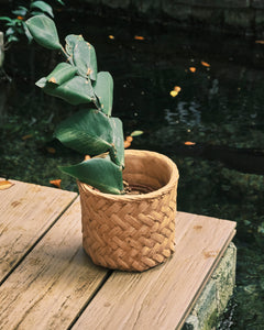 Herringbone Weave Rattan Printed Clay Plant Pot - Small