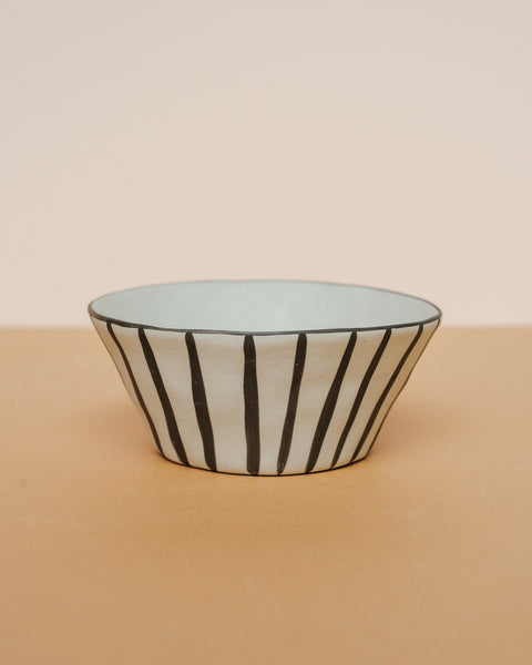Sedona Zebra Bowl Pot