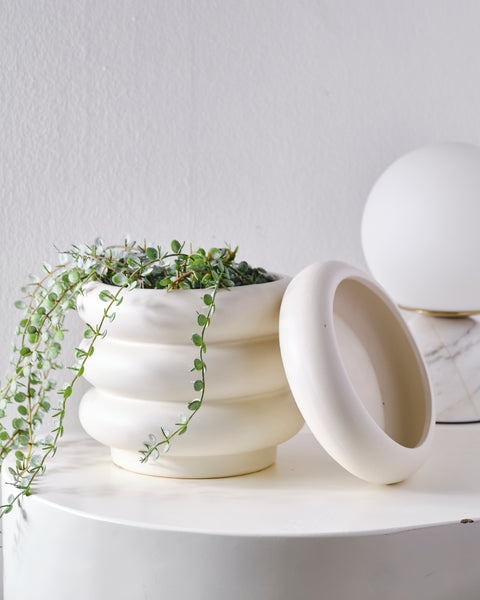 Marshmallow Matte Vase - Large with detachable base tray