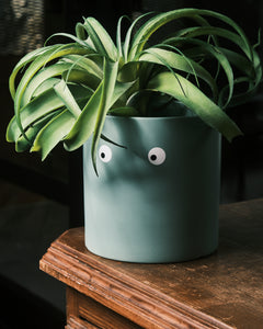 No Eye Dear Plant Pots - Large