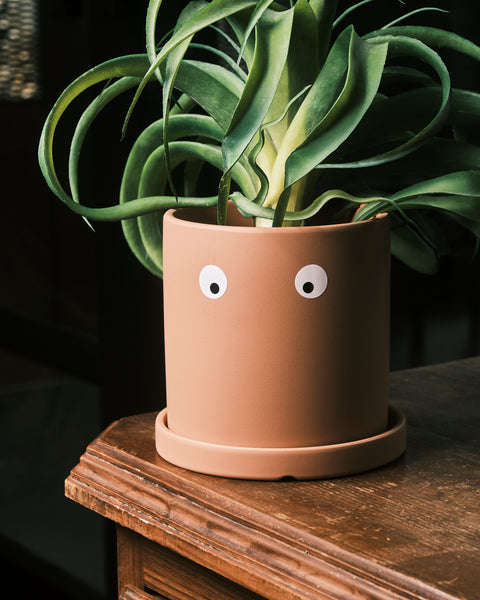 No Eye Dear Plant Pots - Medium