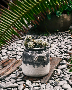 Rustico Clay Pot