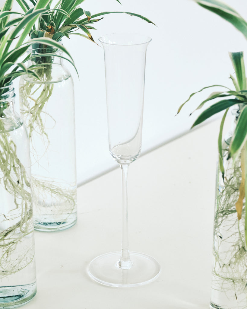 Flared champagne flutes deals