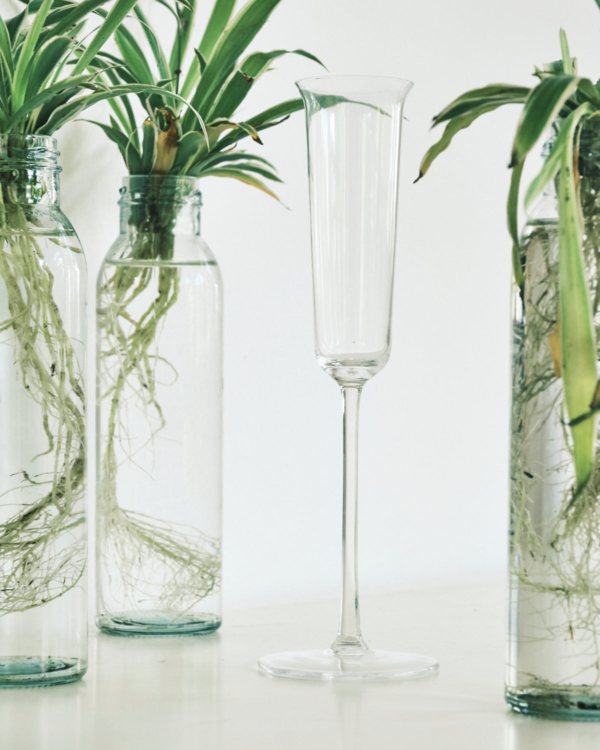 Flared discount champagne flutes