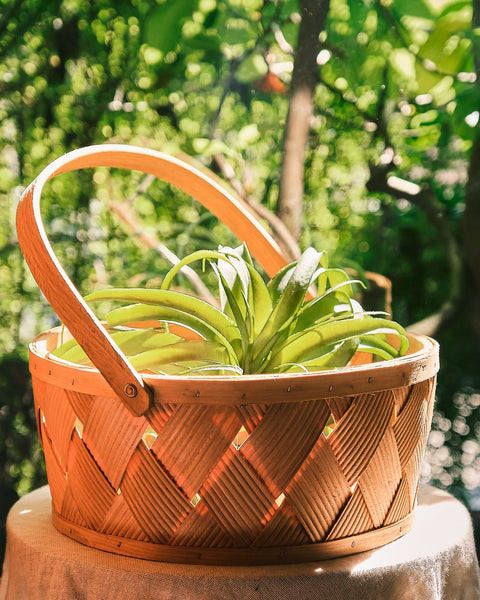 Woven Picnic Basket with Handle